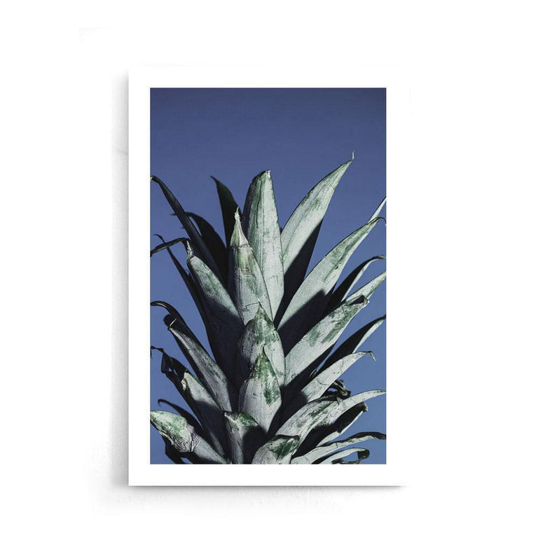 Poster Ananas Bladeren