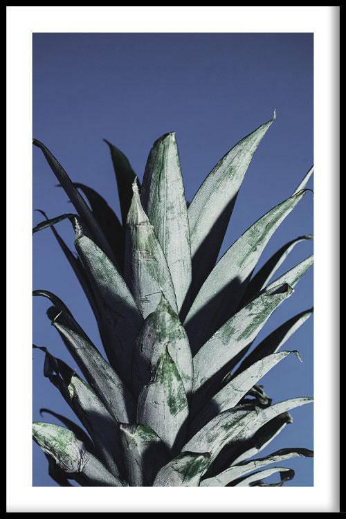 Poster Ananas Bladeren