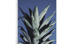Poster Ananas Bladeren