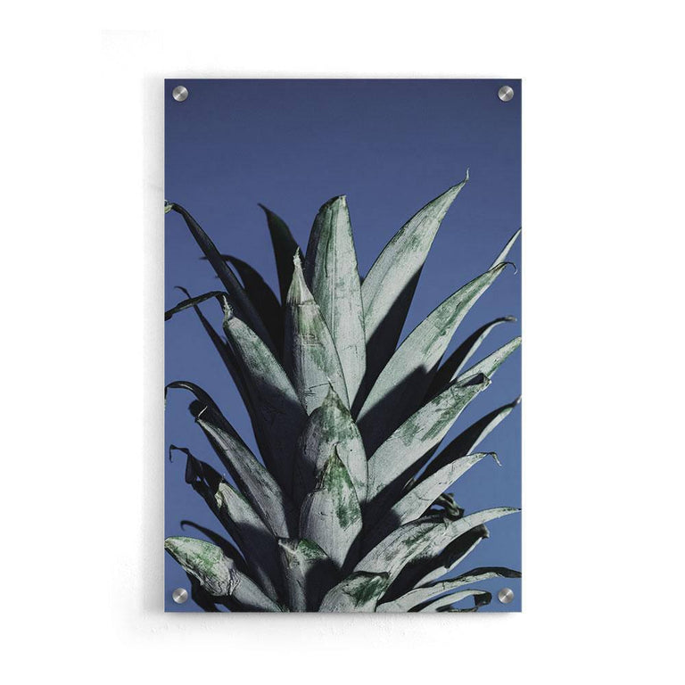 Poster Ananas Bladeren