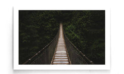 Poster Brug In Het Woud