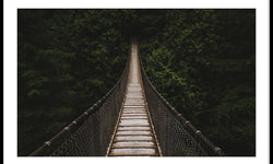 Poster Brug In Het Woud