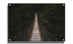 Poster Brug In Het Woud