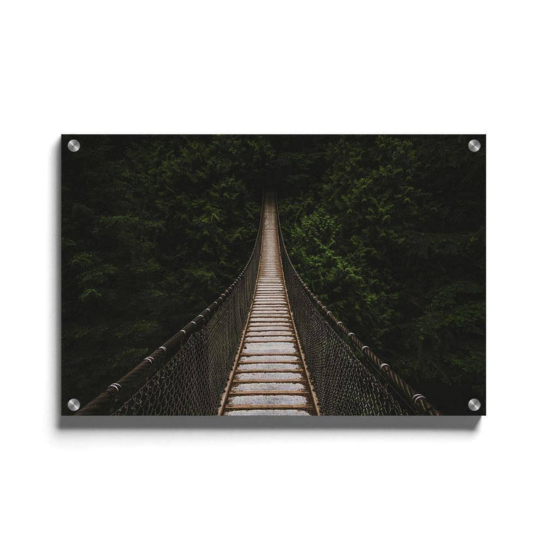 Poster Brug In Het Woud