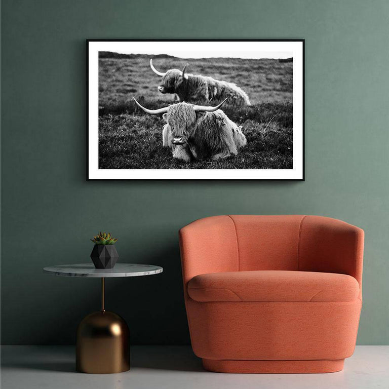 Poster Liggende Schotse Hooglanders