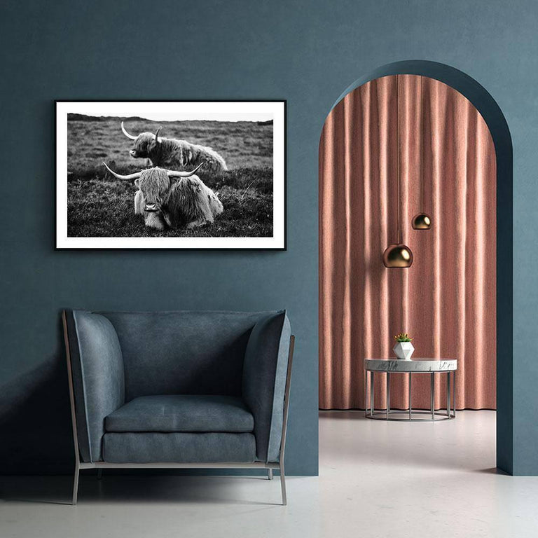 Poster Liggende Schotse Hooglanders