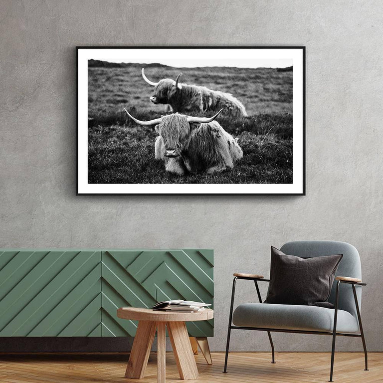 Poster Liggende Schotse Hooglanders
