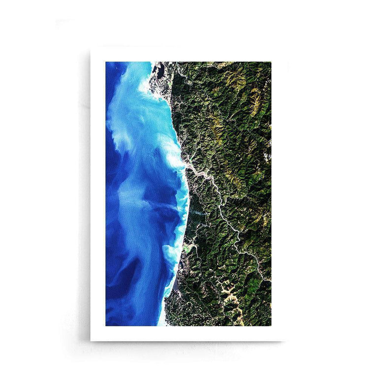 Poster Redwood National Park