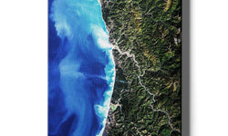 Poster Redwood National Park