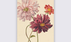 Wanddecoratie Aphrodite