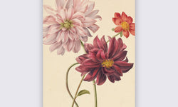Wanddecoratie Aphrodite