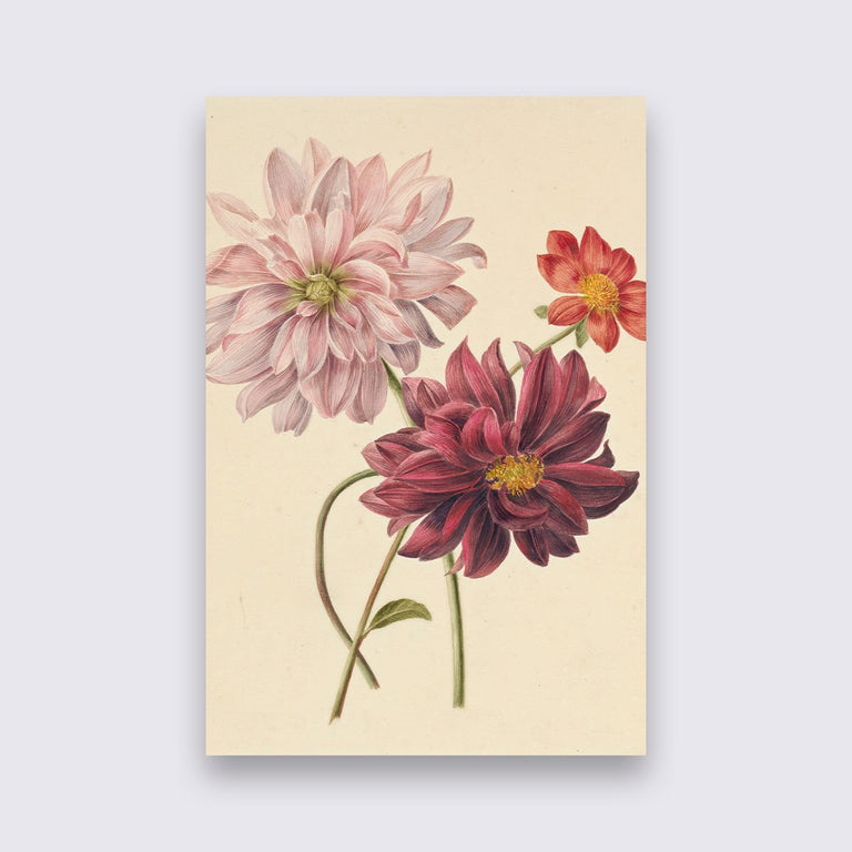 Wanddecoratie Aphrodite