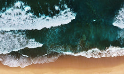 Wanddecoratie Art of Nature