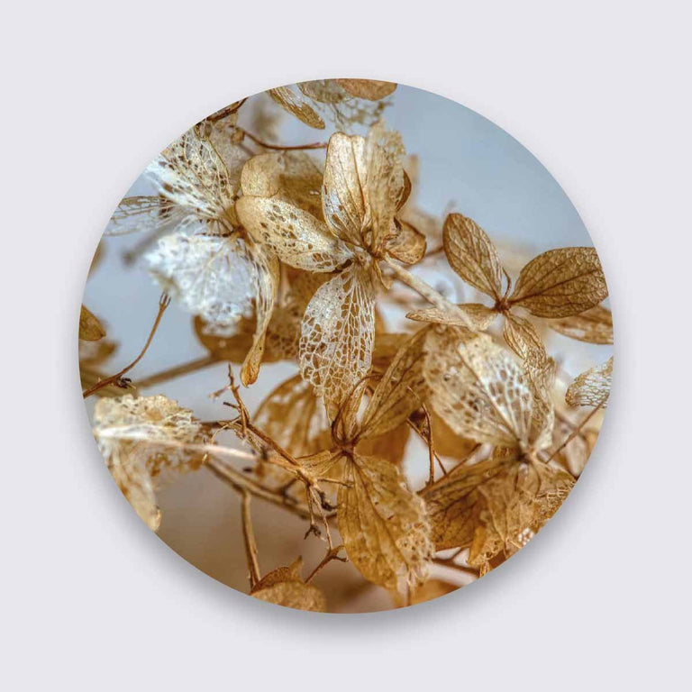 Wanddecoratie Art of Nature