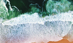 Wanddecoratie Art of the Beach