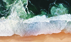 Wanddecoratie Art of the Beach