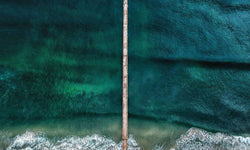 Wanddecoratie Art of the Sea