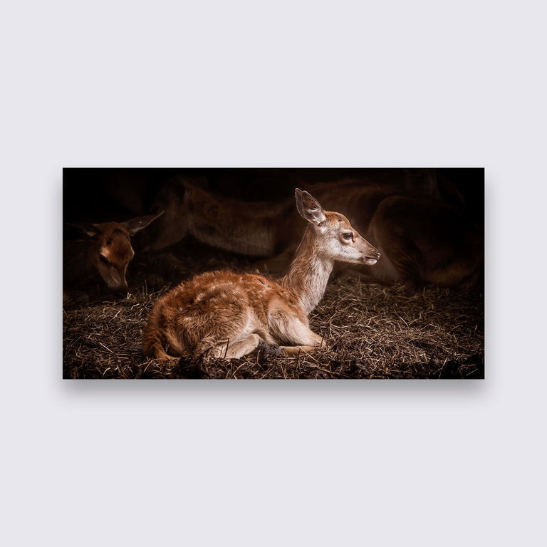 Wanddecoratie Bambi