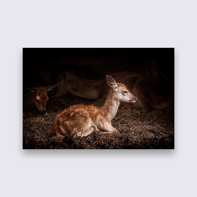 Wanddecoratie Bambi
