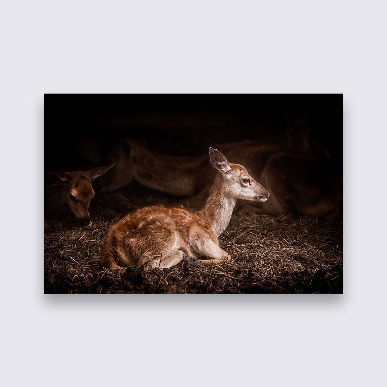 Wanddecoratie Bambi