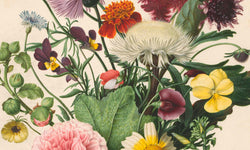 Wanddecoratie Boeket bloemen