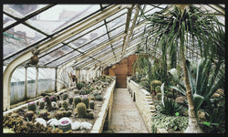 Wanddecoratie Botanica
