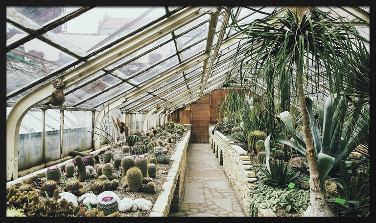 Wanddecoratie Botanica