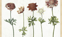 Wanddecoratie Botanical