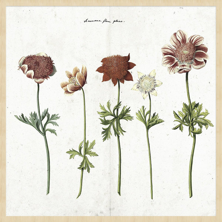 Wanddecoratie Botanical
