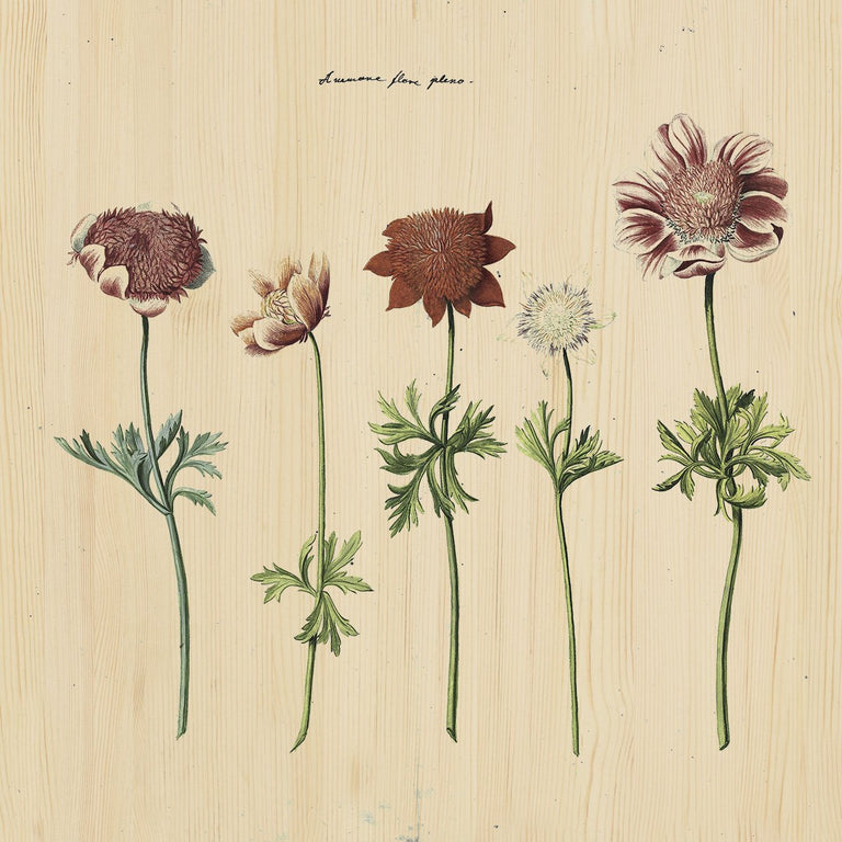 Wanddecoratie Botanical