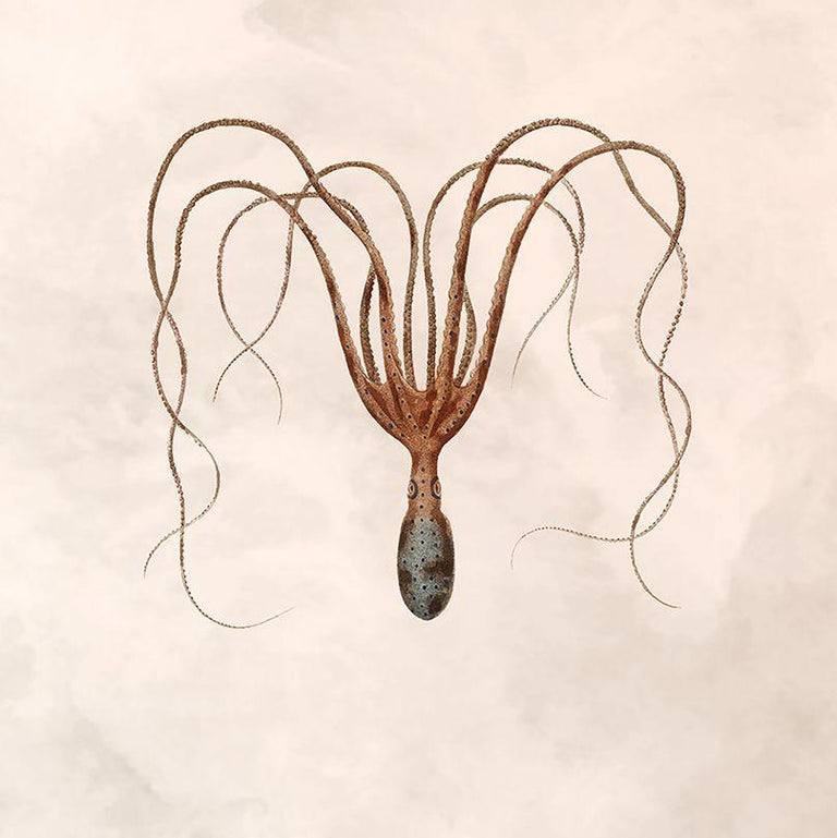 Wanddecoratie Botanical Octopus
