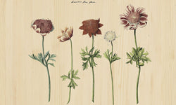 Wanddecoratie Botanical Story
