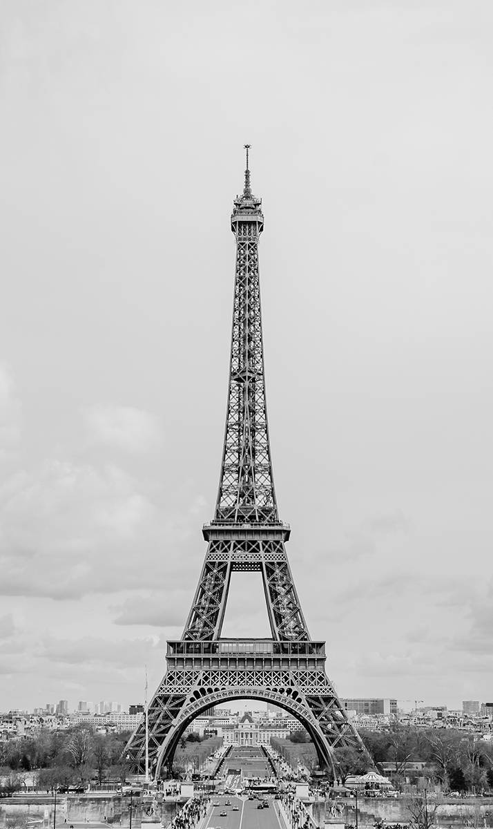 Wanddecoratie City Life Paris