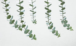 Wanddecoratie Cool Leaves