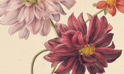 Wanddecoratie Dahlias