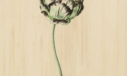 Wanddecoratie Drawn Flower