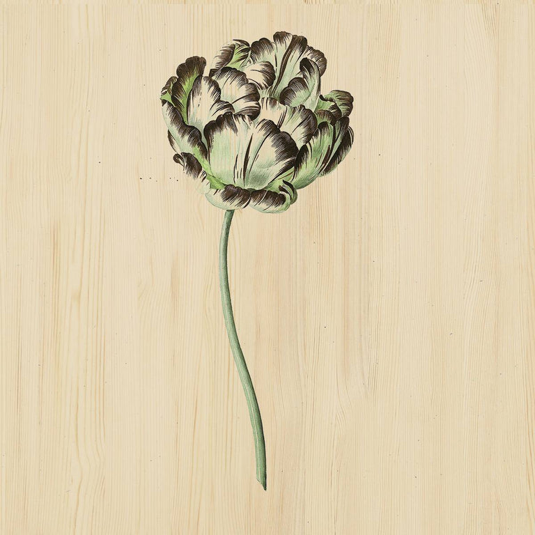 Wanddecoratie Drawn Flower