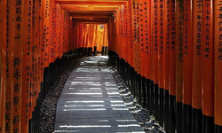 Wanddecoratie Land of Rising Sun