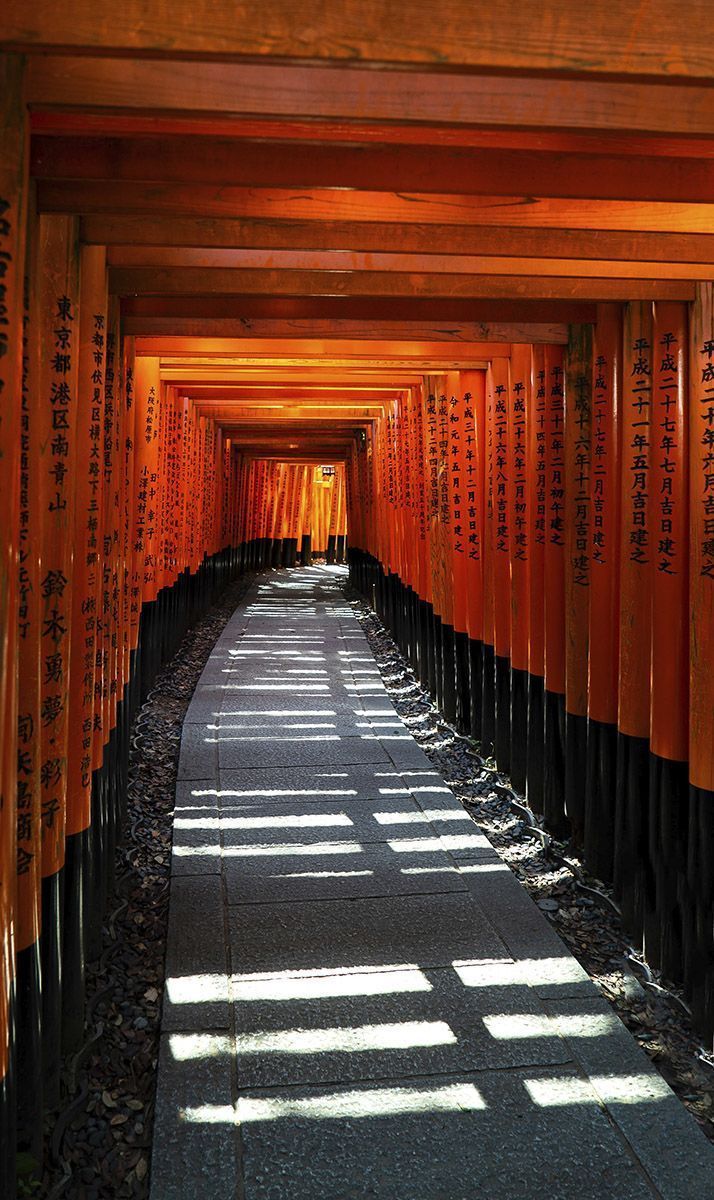 Wanddecoratie Land of Rising Sun