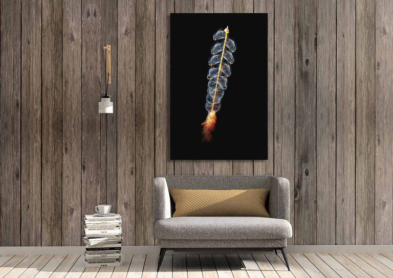 Wanddecoratie Marrus Orthocanna