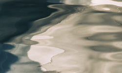 Wanddecoratie Nature Art