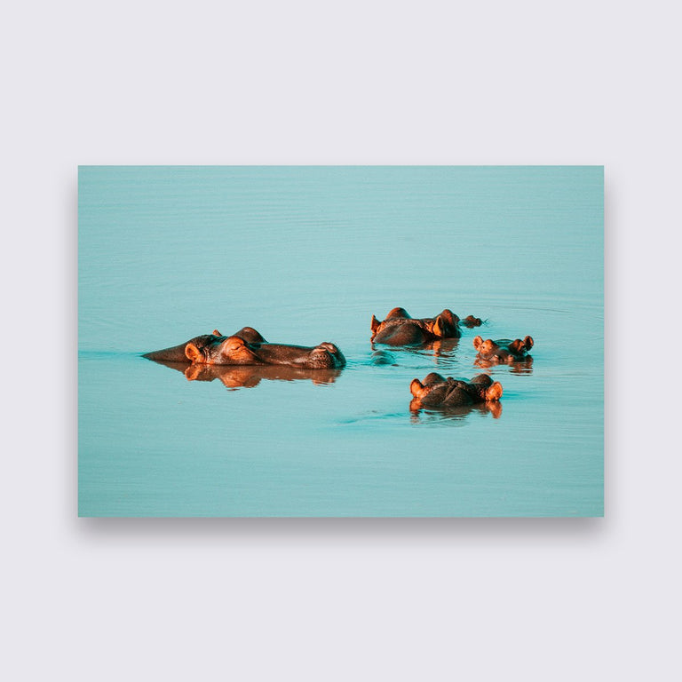 Wanddecoratie Nijlpaard