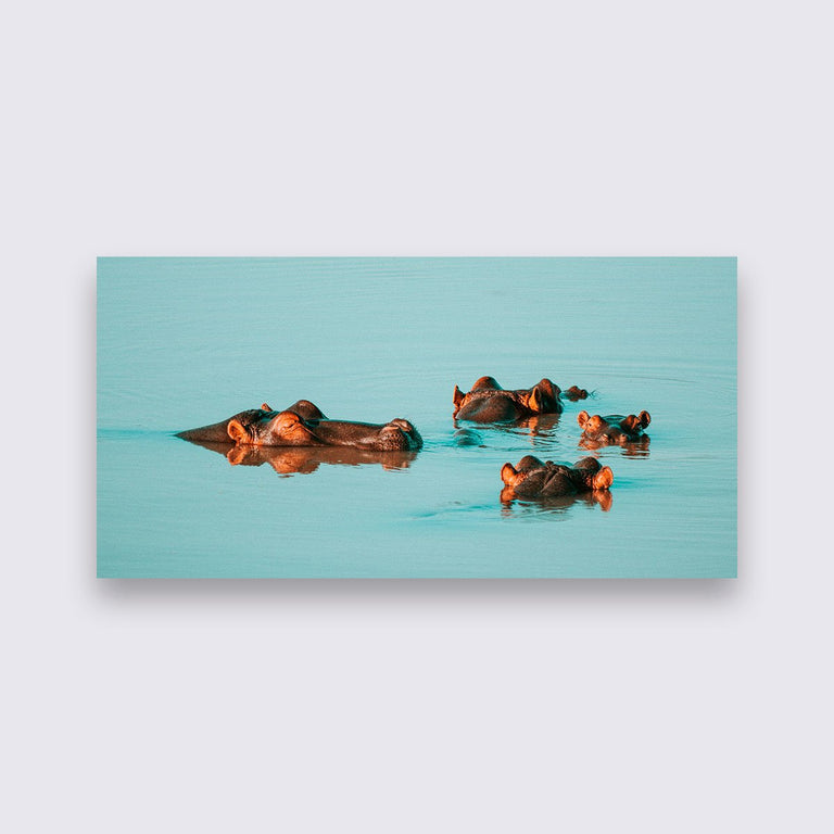 Wanddecoratie Nijlpaard