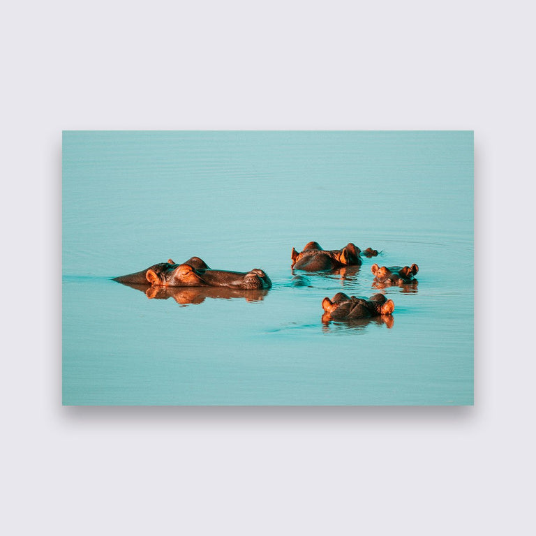 Wanddecoratie Nijlpaard