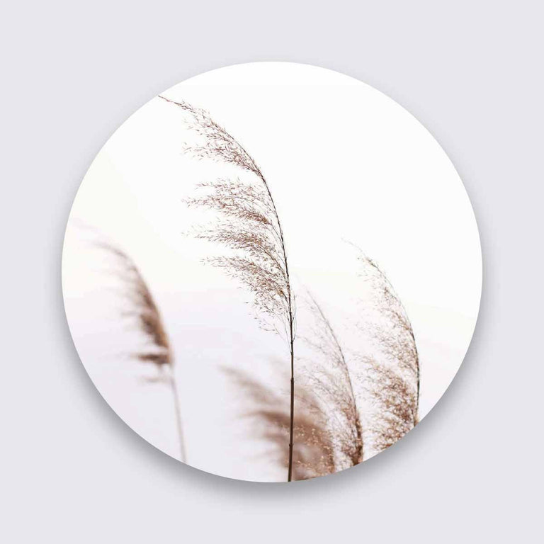 Wanddecoratie Organic