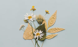 Wanddecoratie Pastel Flowerbomb