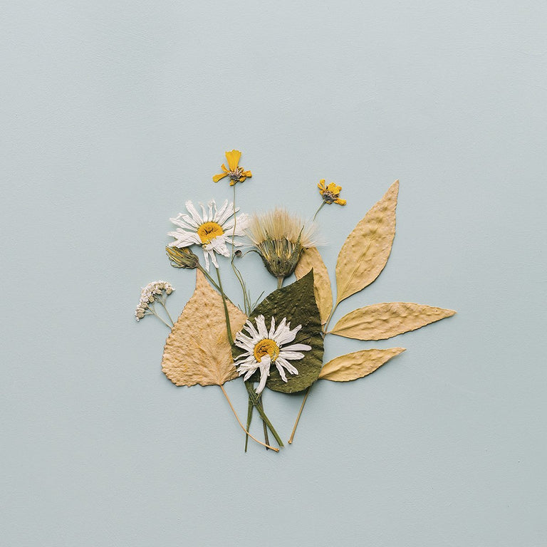 Wanddecoratie Pastel Flowerbomb