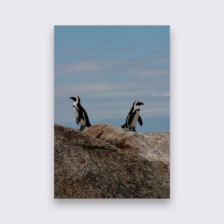 Wanddecoratie Pinguin