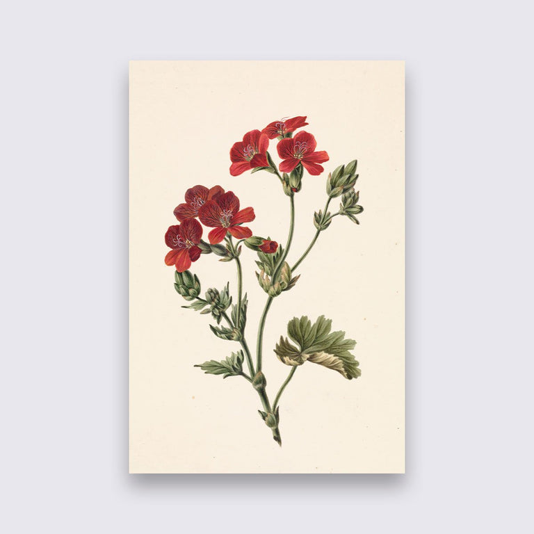 Wanddecoratie Rode bloem