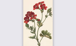 Wanddecoratie Rode bloem